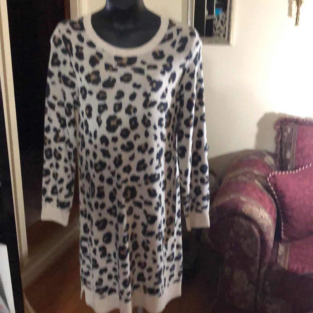 Loft Sweater Dress